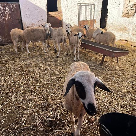 Khaima Oulad Abbou エクステリア 写真