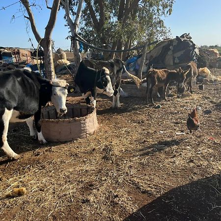 Khaima Oulad Abbou エクステリア 写真